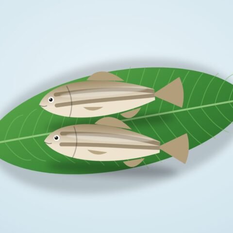 বেলে মাছ