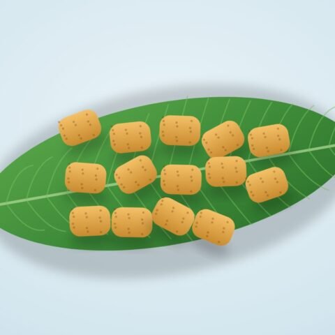 বাটার ফ্রাই – অরিজিনাল (১০ পিস)