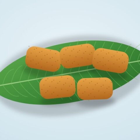 ফিশ ফ্রাই – অরিজিনাল (১০ পিস)
