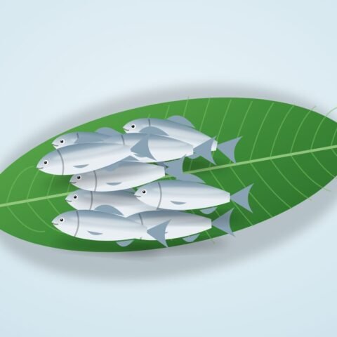 খয়রা মাছ