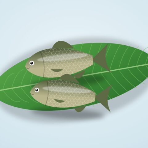 কই মাছ