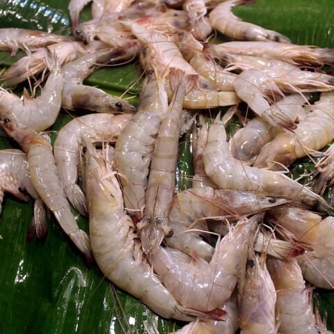 মিডিয়াম চিংড়ি