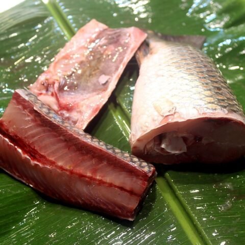 রুই মাছ