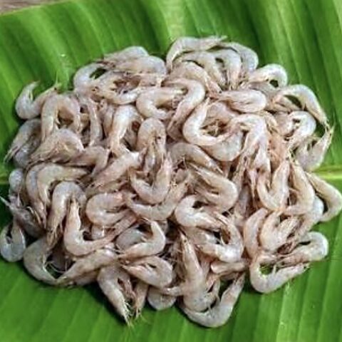 কুচো চিংড়ি (চাপড়া)